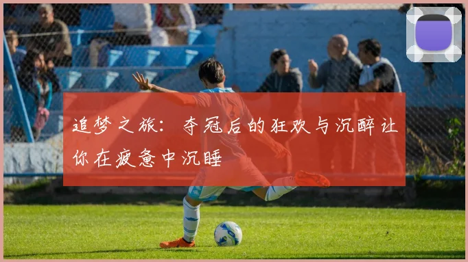追梦之旅：夺冠后的狂欢与沉醉让你在疲惫中沉睡